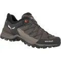 Salewa Mtn Trainer Lite Goretex Tilgangssko