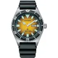 Citizen Ny0120-01x Ur