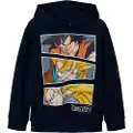 Name It Kids Dragon Ball Hoodie