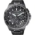 Citizen Cc9025-51e Ur