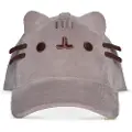 Difuzed Pusheen Kasket