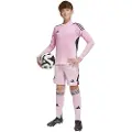 Adidas Tiro 25 Pro Målmand Shorts