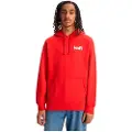 Levi's T2 Relaxed Graphic Hættetrøje
