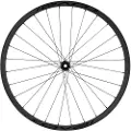 Specialized Roval Control Sl Vi 350 29´´ 6b Disc Tubeless Mtb Forhjul