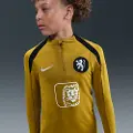 Nike Holland Strike Nike Dri-FIT-fodboldtræningstrøje til større børn - brun