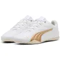 Puma Catch Soleil Daynight Sko