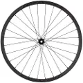 Specialized Roval Control Sl V 370 29´´ 6b Disc Tubeless Mtb Forhjul