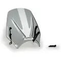 Puig New Generation Sport Triumph Trident 660 2025 Forrude