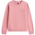 Tommy Hilfiger Dw0dw19959 Sweatshirt