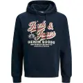 Jack & Jones Logo 2 Col Hættetrøje