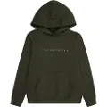 Jack & Jones Star Hættetrøje
