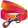 Waudog gradient nylon dog leash 15mm wide 122cm long orange