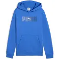 Puma Ess Logo Lab Hættetrøje