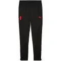 Puma AC Milan Training Pants Men, Sport, Black/Red, XS