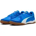Puma Pressing Iv Indendørs Fodboldsko