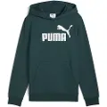 Puma ESS No. 1 Logo Fleece Hoodie Youth, Clothing, Green Terrain, 7-8Y
