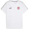Puma FC St. Pauli KING Tee Men, Sport, White/Espresso Brown, XXL