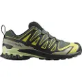Salomon Xa Pro 3d V9 Goretex Trailsko
