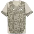 Puma PSV Eindhoven Training Jersey Men, Sport, Desert Dust/Loden Green, XXL