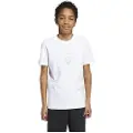 Adidas F50 Graphic T-shirt Med Korte ærmer