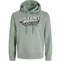 Jack & Jones Logo 2 Col Plus Hættetrøje