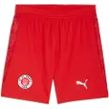 Puma FC St. Pauli 25/26 Shorts Men, Sport, Burnt Red/White, M