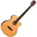 Tanglewood TRX4CE Roadster Super Folk Electro Acoustic Natural