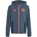 Adidas Fc Bayern Tiro 25/26 Competition Vis Tech Rejse Junior Hættetrøje