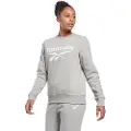 Reebok Ri Bl Fleece Crew Sweatshirt