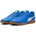 Puma Truco Iii Indendørs Fodboldsko