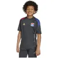 Adidas Olympique De Lyon Tiro 25/26 Competition Træning Junior T-shirt Med Korte ærmer