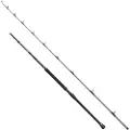 Penn Regiment Iv Boat Braid Spinnestang