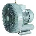 AstralPool 47179 0.85-0.95 Kw Turboblæser Designet Til Luftblæsning I Spabade