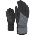 Level Astra Goretex Handsker