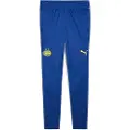 Puma Psv Eindhoven 24/25 Træning Joggers