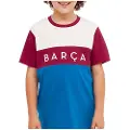 Barca Fc Barcelona Color Block Junior T-shirt Med Korte ærmer