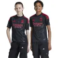 Adidas Benfica 24/25 Væk Junior T-shirt Med Korte ærmer