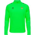 Hummel Real Betis Balompié Pro25 24/25 Halv Lynlås Sweatshirt