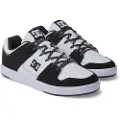 Dc-shoes Dc Cure Sko