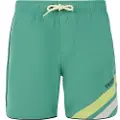 Protest Melvin Badeshorts