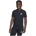 Adidas Messi Icon Graphic T-shirt Med Korte ærmer