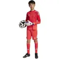 Adidas Tiro 25 Pro Målmand Shorts