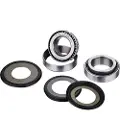 FACTORY LINKS Fantic/suzuki/yamaha Ssk-y-319 Styrelagerkit