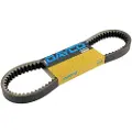 DAYCO Sym Joymax 250cc Drivrem