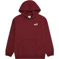 Puma Ess Small Nº 1 Logo Relaxed Hættetrøje