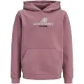 Jack & Jones Tier Front Print Hættetrøje