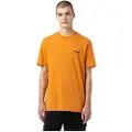 Dickies Artondale Box T-shirt Med Korte ærmer