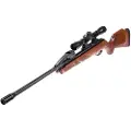 Gamo Roadister Igt10x Airsoft-snigskytte