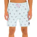 Hurley Cannonball Volley 17´´ Badeshorts