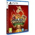 Sony Ps5 Two Point Museum-explorer Edition